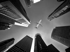 영어 더빙 커미션