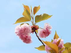 당신을 만난 것은 제게 큰 행운이에요.