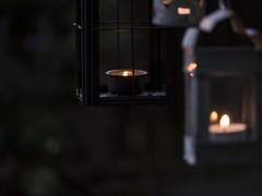 노빌리스 피우스 | 슬리데린