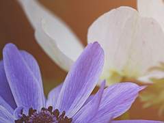 E’ solo un’attesa senza speranza, ma puo’ migliorare?