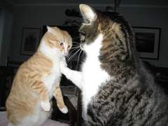 교장선생한테 멱살잡힌 썰