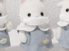 𝘊𝘖𝘔𝘔𝘐𝘚𝘚𝘐𝘖𝘕