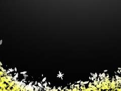 빛을 잃은 폴라리스