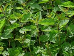 나의 적에게 나는 패배했다. 하지만 결과는 좋았다.