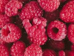 라이라크 타슈켄트