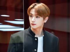 화려한 봄날 : 청춘의 조각(下)