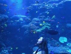 우주 어항 31(完)