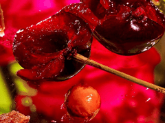 재이와 제이 x11