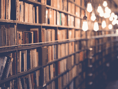 나비야 이리 날아오거라 #1