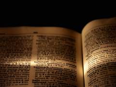 Later Bloomer - 세계관 설명 -