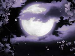 [카게야마 중심] 황금부수비: 10