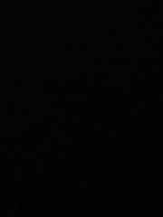 籠鳥戀雲:: 농조연운