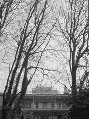 장미 저택과 유령 부인