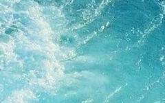 [헤이든 블레이크 / 30 / 남성]