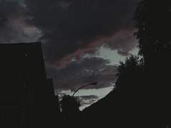 그럼에도 죽을 수 없는 건