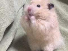 New New 공지입니다!(가격공지 수정)