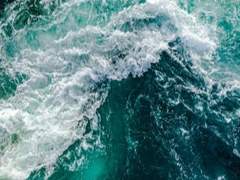 거센 찬바람 끝엔.