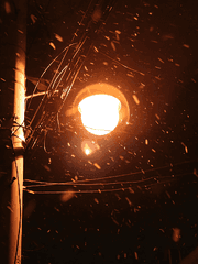 반지하 로맨티스트