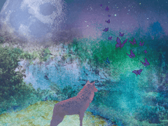 [시목동재] 늑대와 함께 춤(?)을