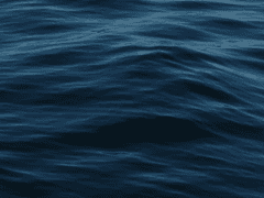 우리는 살아있는 바다가 되어야 한다.