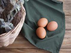 [고죠우타] 봄으로 가는 길