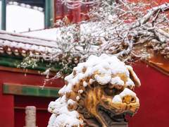 새벽하늘에 검은 별