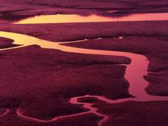 거짓을 고하는 자들에게 악몽을