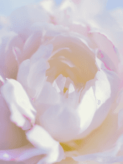 생각나는 거 이것저것