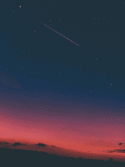 조직 보스입니다[뜰팁]