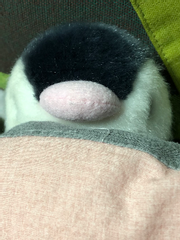 무익하고 유쾌한 헛소리