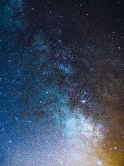 삐뚤한 선들의 항연