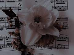 #White rat - 3. 연구일지