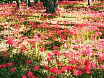 마도조사 연성글 셋