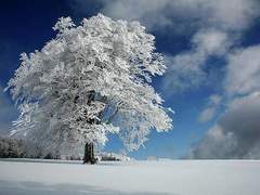 [단편]-겨울 겨울이 맺어준 사랑