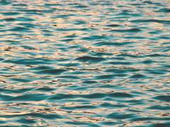 초여름, 미래의 단면