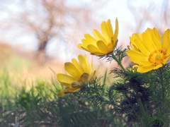 당신을 얼마나 사랑하는가