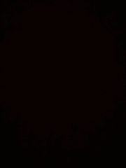 오랫동안 좋아했던 사람은.