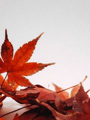 하늘 아래 다카포