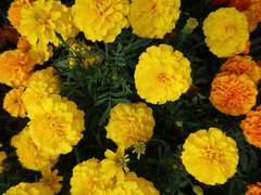 그 날 그 이후의 이야기