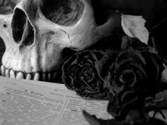 내가 널 살렸는데 왜 다시 왔어? 一