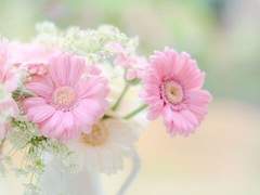 병실에서/정 서