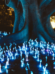 이번 생은 농부로 살기로 했으나...