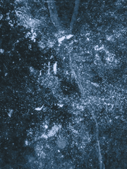 계절 없는 폭우