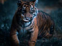 괘씸한 놈이 하나 있다!