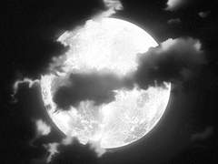 뭐야, 멀쩡한 이웃 돌려줘요!