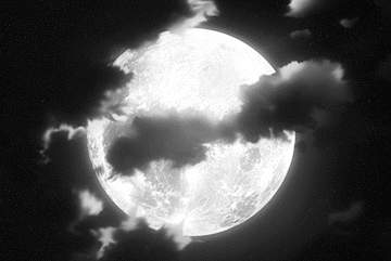 뭐야, 멀쩡한 이웃 돌려줘요!