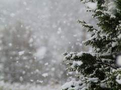 그는 처절하게 누군가의 이름을 불렀다.