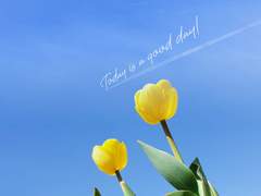 새해 복 미리 많이 받으세요🤗