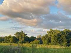 [갤리라이] 여름