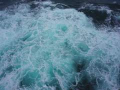 숨겨진 잔해와 이야기를 열어봅니다.